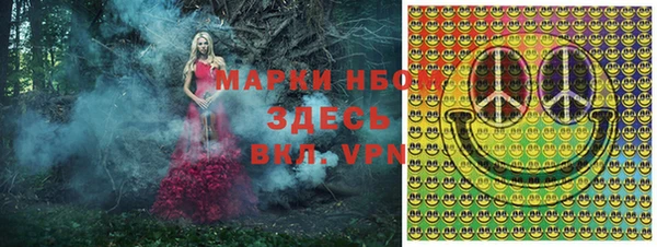 не бодяженный Алексин
