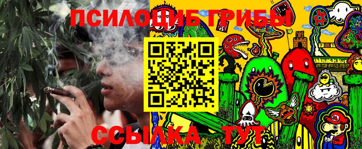 Галлюциногенные грибы мицелий  Вход с VPN  Сосновый Бор 