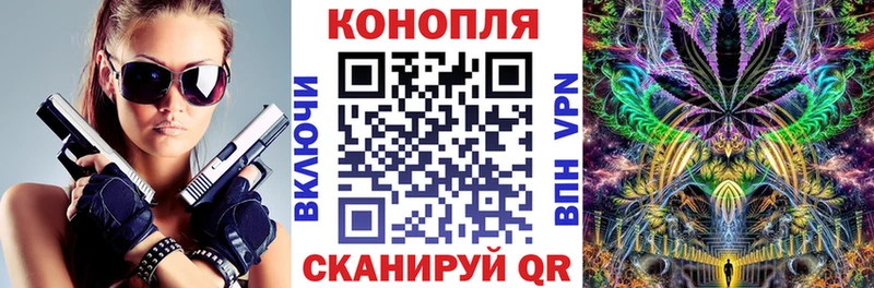 Каннабис индика  Сосновый Бор 